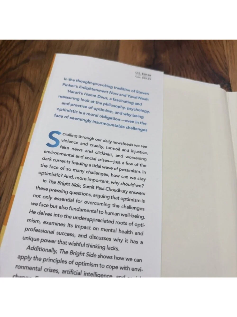 The Bright Side Submit Paul Choudhury Optimists Change The World